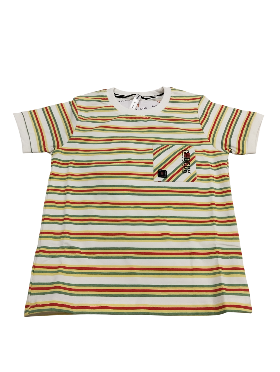 Boys' Striped T-Shirt & Cargo Shorts Set 10.3573 Boys' Striped T-Shirt & Cargo Shorts Set 10.3573